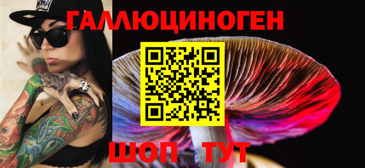Псилоцибиновые грибы Cubensis Севастополь