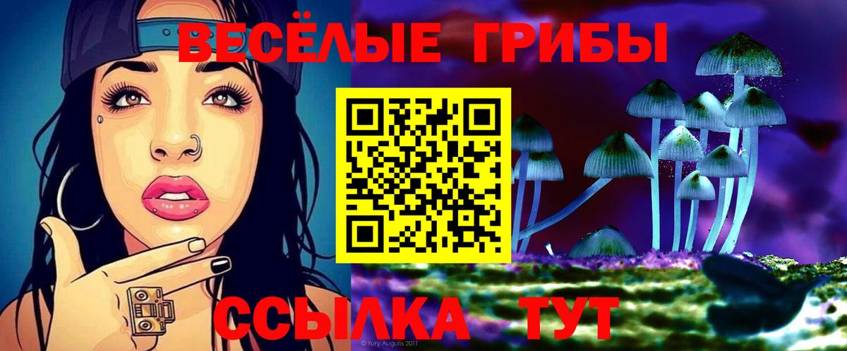Севастополь  Галлюциногенные грибы прущие грибы  Вход с VPN 